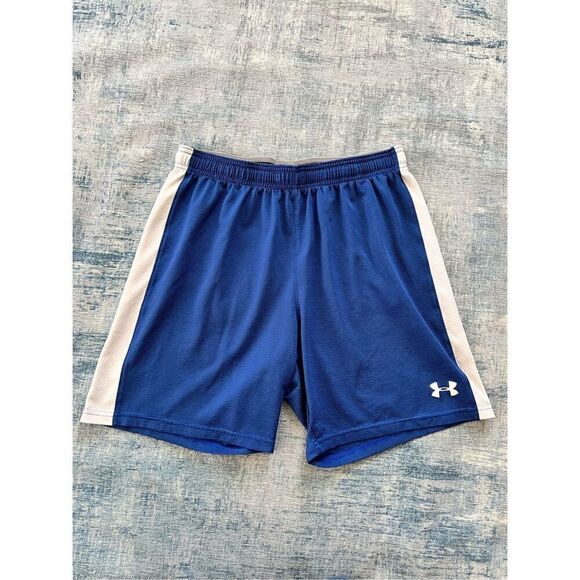 Under Armour Blue White Micro Stripe Fitted Athletic Shorts Women's Large - Picture 1 of 4
